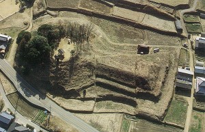 富田茶臼山古墳航空写真