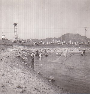 池の伝承的漁法　−イタギ漁ー